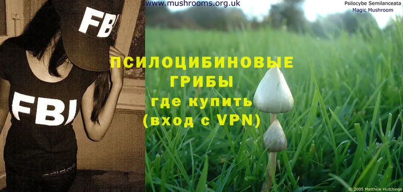 Галлюциногенные грибы Magic Shrooms  Волгоград 